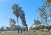 Terrenos - Pi�ero - Venta