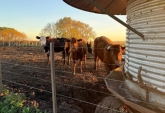 Campos - Pergamino - Venta