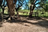 Campos - Coronda - Venta