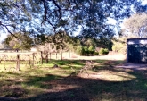 Campos - Coronda - Venta