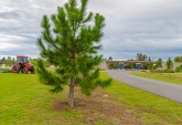 Terrenos - Rosario - Venta
