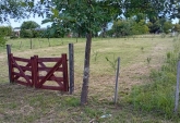 Terrenos - Amboy - Venta