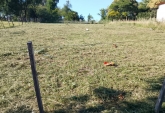 Terrenos - Amboy - Venta