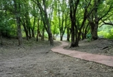 Terrenos - Amboy - Venta