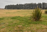Terrenos - General Lagos - Venta