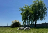 Terrenos - Ibarlucea - Venta