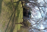 Casas - Andino - Venta