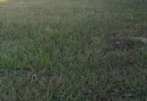 Terrenos - Rosario - Venta