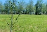Terrenos - Pi�ero - Venta