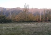Terrenos - Otra Ciudad - Venta