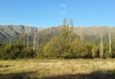 Terrenos - Otra Ciudad - Venta