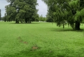 Terrenos - Roldan - Venta