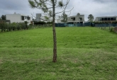 Terrenos - Roldan - Venta