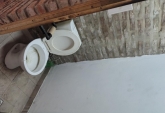 Galpones / Depósitos - Rosario - Alquiler