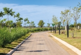 Terrenos - General Lagos - Venta