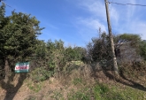 Terrenos - Melincue - Venta