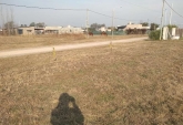 Terrenos - Roldan - Venta
