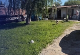Casas - Roldan - Venta