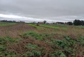 Campos - Rosario - Venta