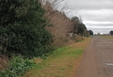 Campos - Rosario - Venta