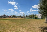 Terrenos - Piñero - Venta