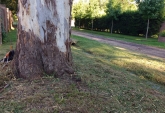 Terrenos - Funes - Venta
