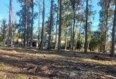 Terrenos - Oliveros - Venta