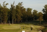 Terrenos - Oliveros - Venta