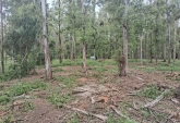 Terrenos - Oliveros - Venta