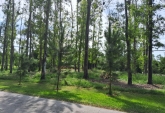 Terrenos - Oliveros - Venta