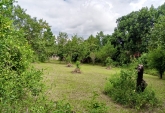 Terrenos - Otra Ciudad - Venta