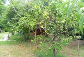 Terrenos - Otra Ciudad - Venta