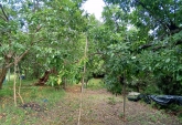 Terrenos - Otra Ciudad - Venta