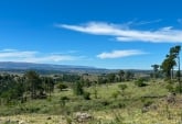 Terrenos - Yacanto De Calamuchita - Venta