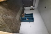 Casas - Arroyo Seco - Venta