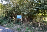 Terrenos - Funes - Venta
