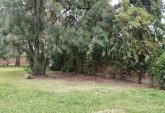 Terrenos - Funes - Venta
