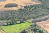 Campos - Pavon - Venta