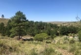 Terrenos - El Durazno - Venta