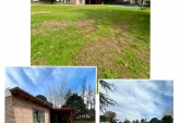 Casas - Oliveros - Venta