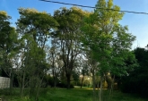 Terrenos - Funes - Venta