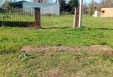 Terrenos - Andino - Venta