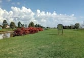 Terrenos - Alvear - Venta