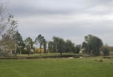 Terrenos - Alvear - Venta