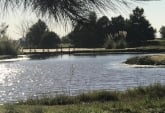Terrenos - Alvear - Venta