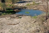 Campos - Costa Grande - Venta