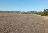 Campos - Costa Grande - Venta