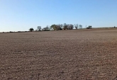Campos - Costa Grande - Venta
