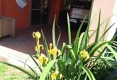 Casas - Roldan - Venta