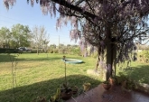 Casas - Roldan - Venta